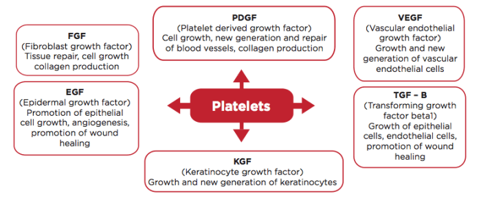 What are Platelets Made of? An Infographic